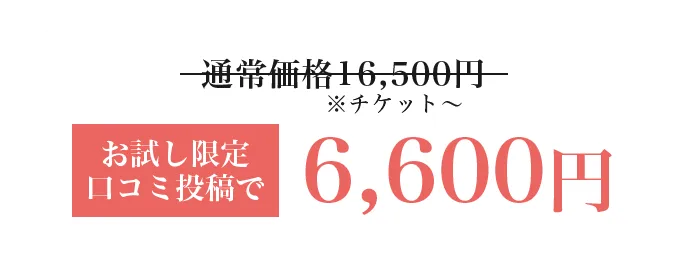 通常16,500円がお試し限定口コミ投稿で6,600円